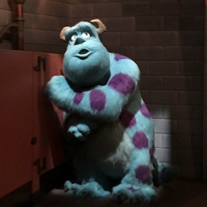 Sully